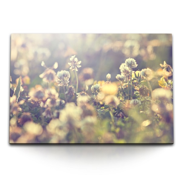 120x80cm Wandbild auf Leinwand Sonnenschein Blumenwiese Natur Wildblumen Feldblumen