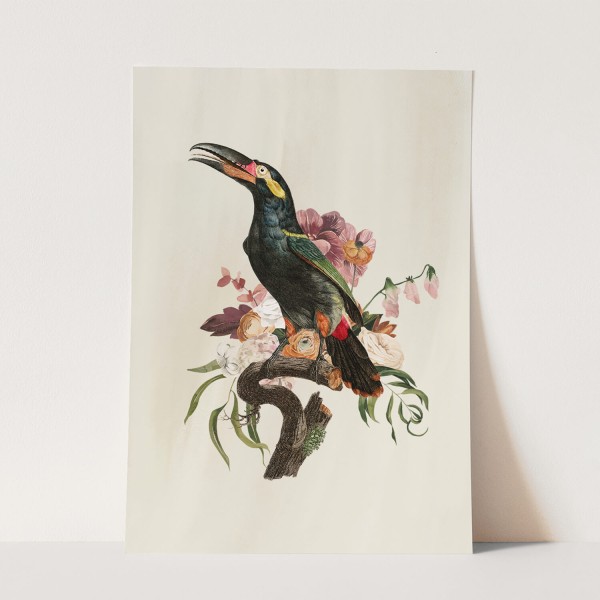 Vogel Motiv Tukan Exotisch Blumen Blüten exklusives Design