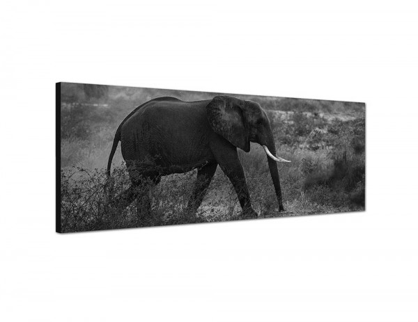 150x50cm Wiese Bäume Elefant Morgensonne