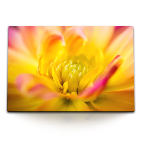 120x80cm Wandbild auf Leinwand Makrofotografie Blume Blüte Gelb Orange