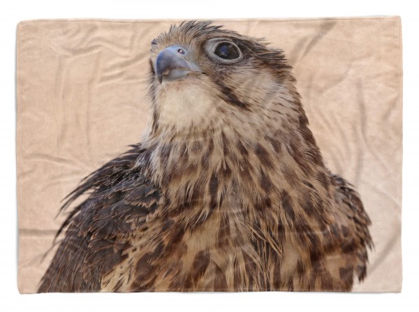 Handtuch Strandhandtuch Saunatuch Kuscheldecke mit Tiermotiv Falke Raubvogel