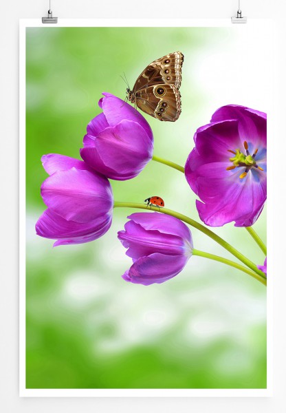 90x60cm Poster Naturfotografie Lila Tulpen mit Schmetterling 