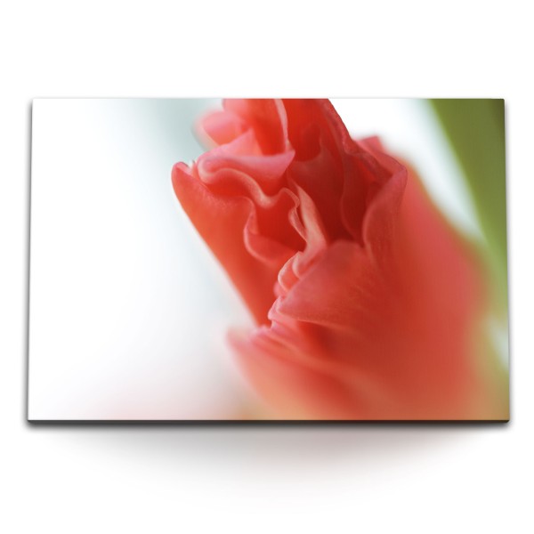 120x80cm Wandbild auf Leinwand Rote Blüte Blume Makrofotografie Fotokunst Dekorativ