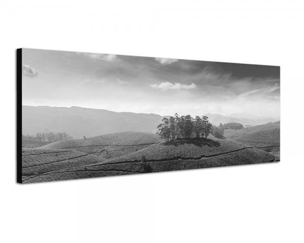 150x50cm Indien Teeplantagen Landschaft
