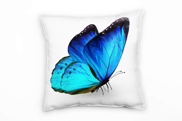 Tiere, Macro, blau, türkis, Schmetterling Deko Kissen 40x40cm für Couch Sofa Lounge Zierkissen
