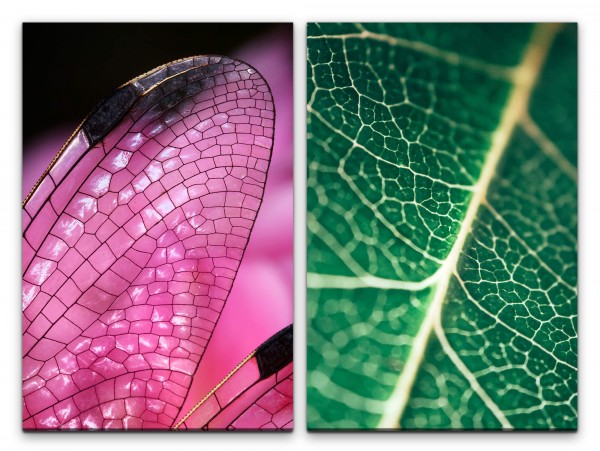2 Bilder je 60x90cm Libelle Rosa Flügel Blattstruktur Blattadern Dekorativ Makrofotografie
