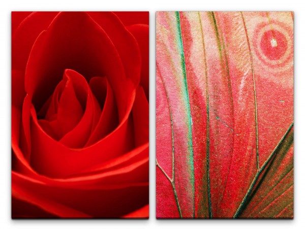 2 Bilder je 60x90cm Rosenblüte Rose Flügel Rot Liebe Romantisch Schlafzimmer