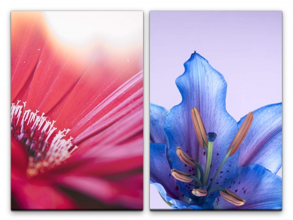 2 Bilder je 60x90cm Blumen Blüten Rot Blau Sommer Dekorativ Makrofotografie