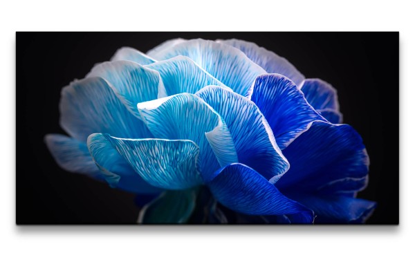 Leinwandbild 120x60cm Blaue Blume Blüte Makrofotografie Kunstvoll Fine Art