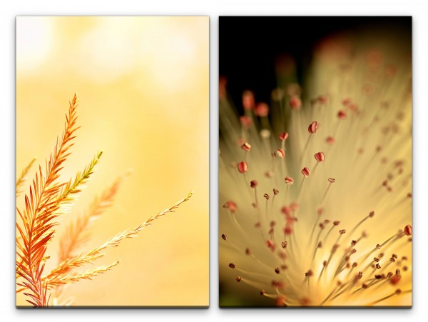 2 Bilder je 60x90cm Tannenzweig Golden Blüte Natur Dekorativ Fotokunst Makrofotografie