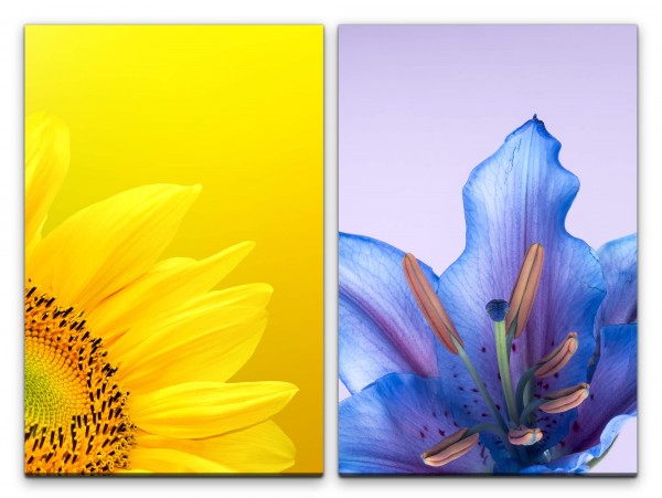 2 Bilder je 60x90cm Sonnenblume Gelb Blumen Blaue Blüte Makro Nahaufnahme