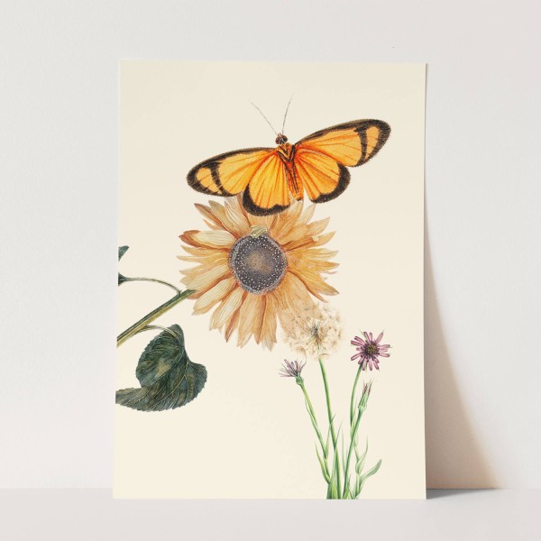 Wandbild Schmetterling Sonnenblume Sommer Vintage Kunstvoll