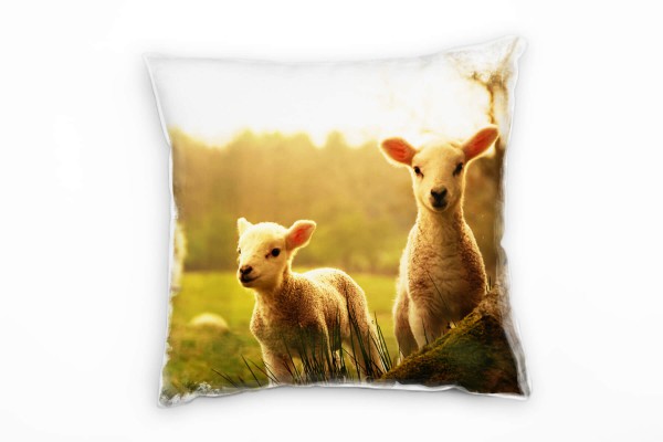 Tiere, grün, orange, Frühling, Lämmer Deko Kissen 40x40cm für Couch Sofa Lounge Zierkissen