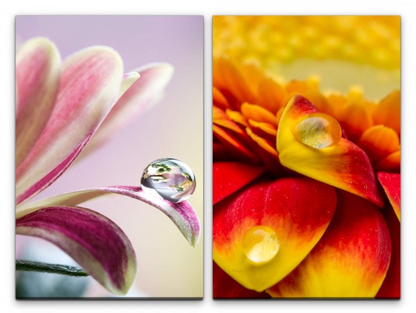 2 Bilder je 60x90cm Tropfen Blumen Blüten Rosa Makro Gemütlich Schön