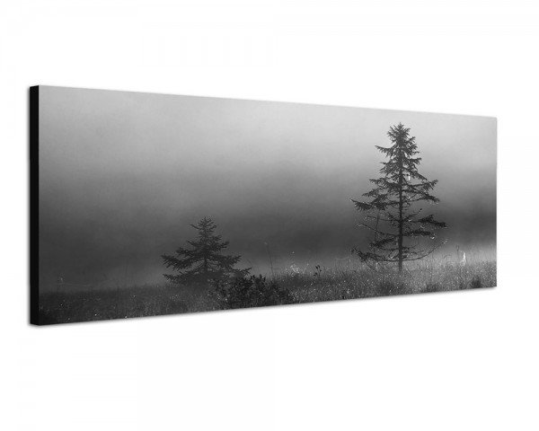150x50cm See Wiese Baum Nebel Dunst Morgengrauen