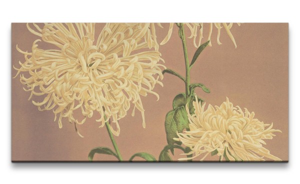 Remaster 120x60cm Ogawa Kazumasa berühmte Fotografie Blume Blüte gelbe Chrysanthemums