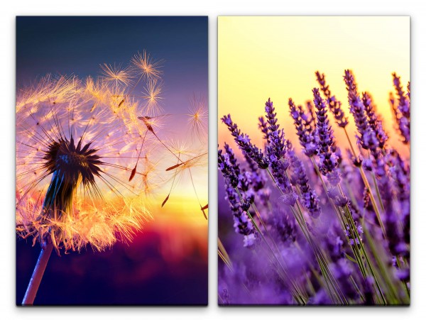 2 Bilder je 60x90cm Pusteblume Sommer Lavendel Sonnenuntergang Warm Weich Sanft
