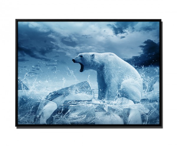 105x75cm Leinwandbild Petrol Jagender Eisbär auf Eis
