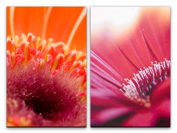 2 Bilder je 60x90cm Blüten Blumen Nektar Rot Sommer Dekorativ Makrofotografie