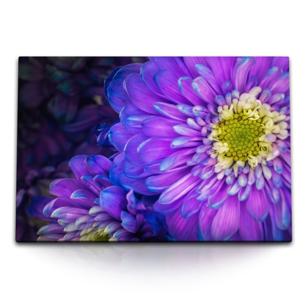 120x80cm Wandbild auf Leinwand Violette Blumen Blüten Makrofotografie Natur