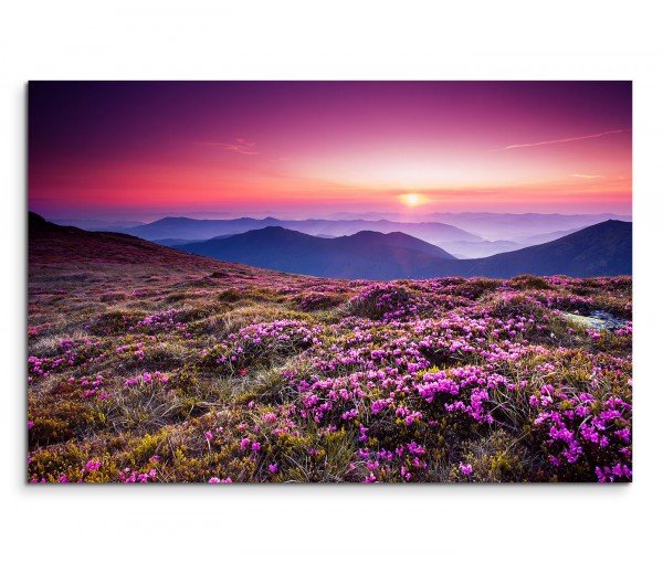 120x80cm Wandbild Ukraine Blumenwiese Berge Sonnenuntergang
