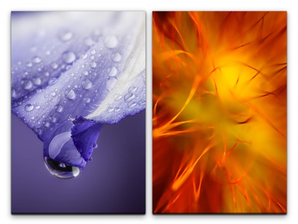 2 Bilder je 60x90cm Tropfen Blüte Violett Orange Nahaufnahme Morgentau Blumen