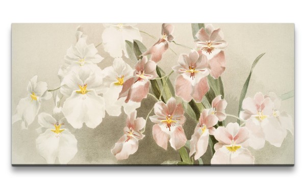 Remaster 120x60cm Illustration von wunderschönen Blüten Blume Dekorativ Kunstvoll
