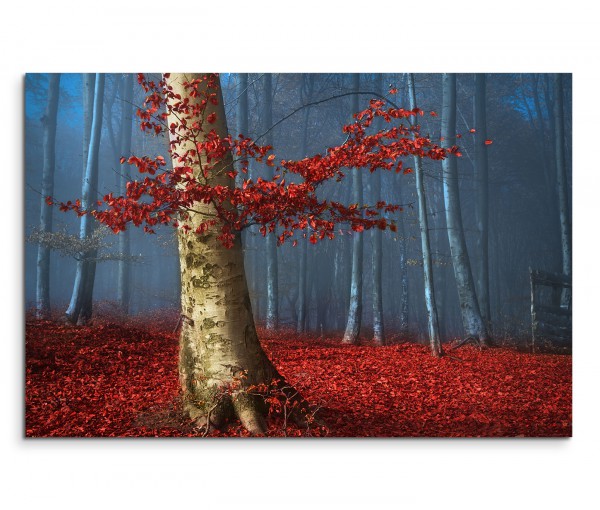 120x80cm Wandbild Wald Bäume Herbst Blätter Laub Nebel
