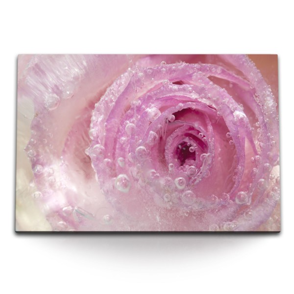 120x80cm Wandbild auf Leinwand Blüte Blume Rosa Wassertropfen Makrofotografie Kunstvoll