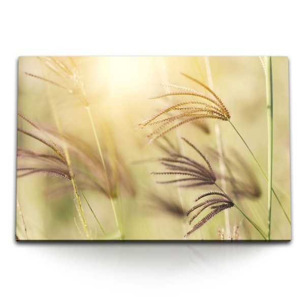 120x80cm Wandbild auf Leinwand Sommer Grashalme Weizen Pflanzen Natur Sonnenschein