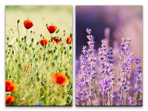 2 Bilder je 60x90cm Sommer Mohnblumen Lavendel Sommerwiese Sonnenschein Erholsam Blumen