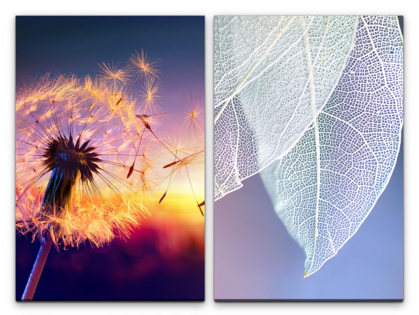 2 Bilder je 60x90cm Pusteblume weiße Blätter Blattstruktur Kunstvoll Sonnenstrahlen Fotokunst Makrof