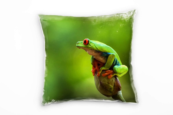 Tiere, Frosch, grün, orange Deko Kissen 40x40cm für Couch Sofa Lounge Zierkissen