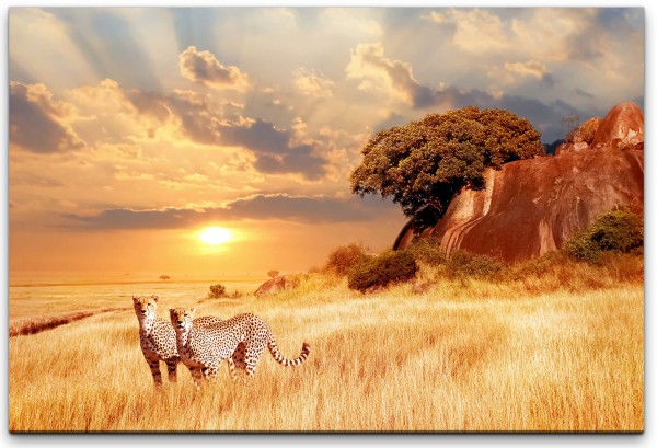 Afrikanische Landschaft Wandbild in verschiedenen Größen