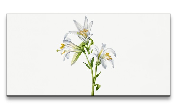 Remaster 120x60cm Schöne Blume Blüte Minimal Dekorativ Illustration Kunstvoll