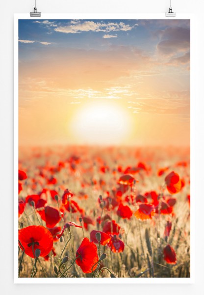 90x60cm Poster Rotes Mohnblumenfeld mit Sonne