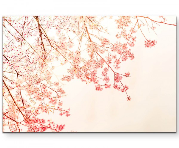 chinesische Kirschblütenzweige im Vintagestyle - Leinwandbild