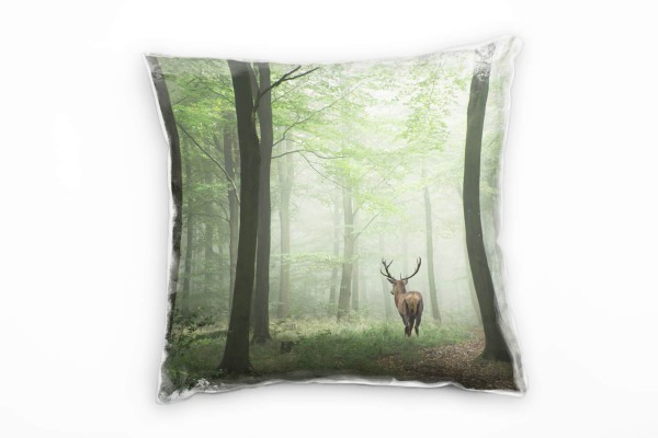 Tiere, Rothirsch, Wald, Dunst, Herbst, grün, braun Deko Kissen 40x40cm für Couch Sofa Lounge Zierkis