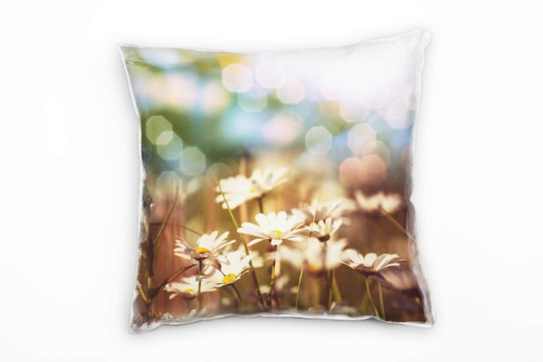 Macro, Blumen, Gänseblümchen, schöne Lichtverhältnisse Deko Kissen 40x40cm für Couch Sofa Lounge Zie