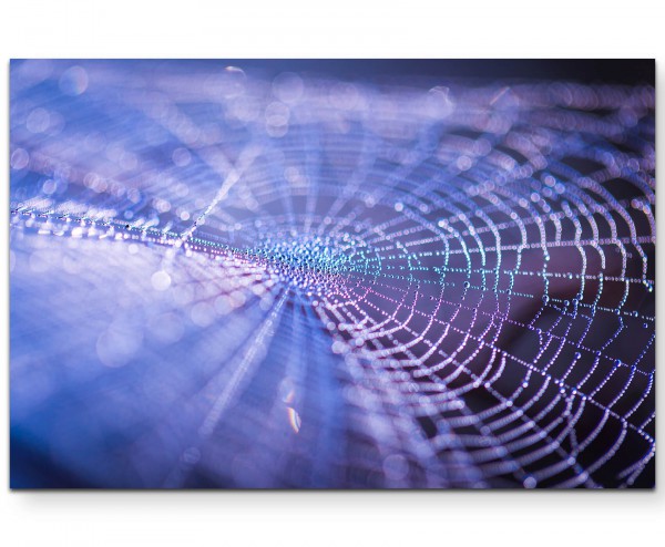 Spinnennetz mit Tautropfen, Nahaufnahme - Leinwandbild