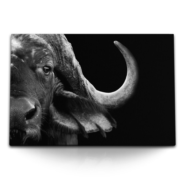 120x80cm Wandbild auf Leinwand Tierfotografie Wasserbüffel Büffel Schwarz Weiß