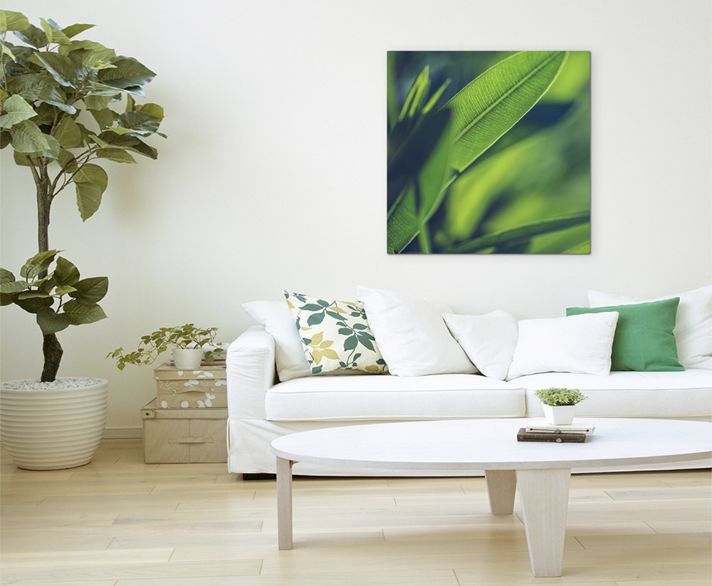 Wandbild Naturfotografie Grüne Pflanzen Hintergrund auf Leinwand 