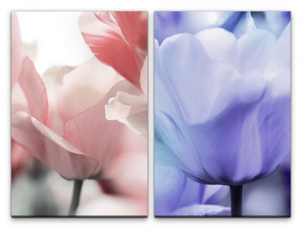 2 Bilder je 60x90cm Tulpen Blumen Weiß Blau Dekorativ Kunstvoll Makrofotografie