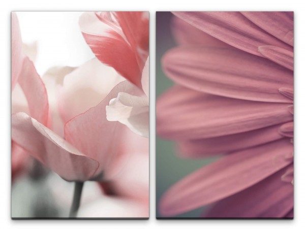 2 Bilder je 60x90cm Tulpen Blumen Blüten Sanft Dekorativ Hell Fotokunst