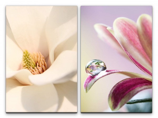 2 Bilder je 60x90cm Blüte Weiße Tulpe Wassertropfen Blumen Makro Nahaufnahme