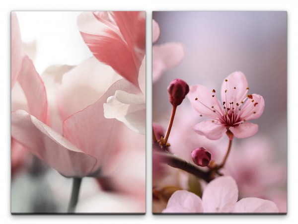 2 Bilder je 60x90cm Tulpen Baumblüten Frühling Rosa Sanft Zart Beruhigend