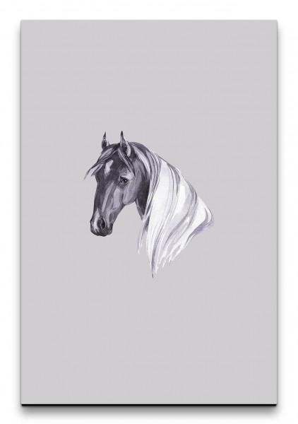 Wasserfarben Pferd Porträt Grautöne Beruhigend Aquarell Dekorativ