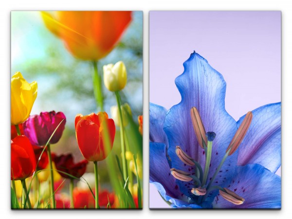 2 Bilder je 60x90cm Tulpen Blumen Sommer Bunt Farbenfroh Dekorativ Schön