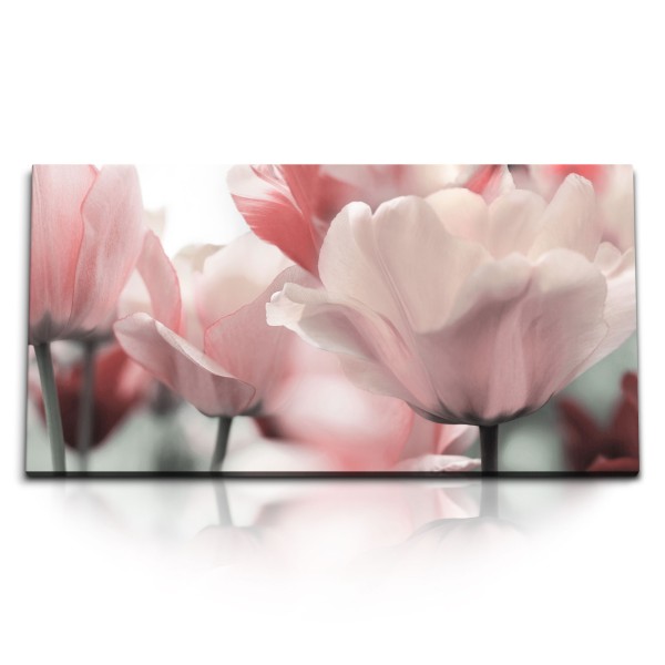 Kunstdruck Bilder 120x60cm Weiße Tulpen Blumen Blüten Hell