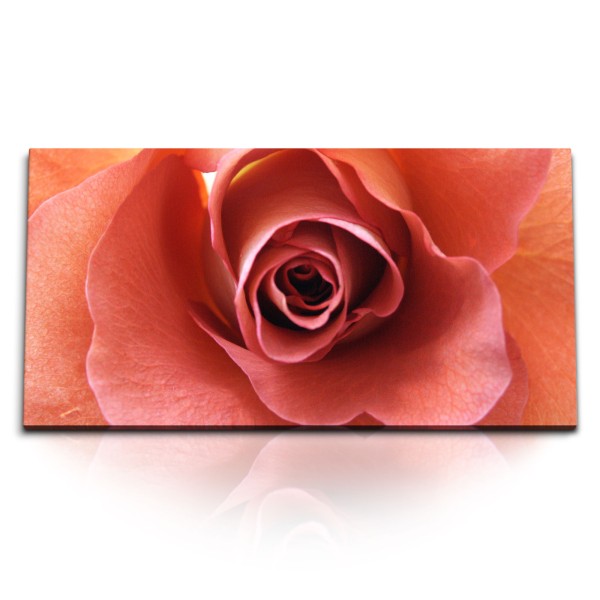 Kunstdruck Bilder 120x60cm Rote Rose Rosenblüte Blüte Blume Makrofotografie